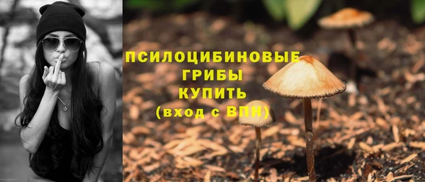 прущий лед Михайловка