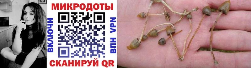 Купить закладки  Новодвинск  Псилоцибиновые грибы Cubensis 