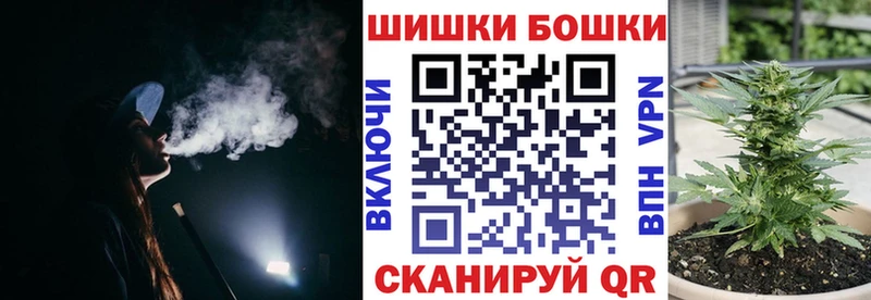 Купить закладки  Новодвинск  МАРИХУАНА Ganja 